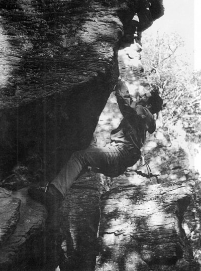 Igor Koller