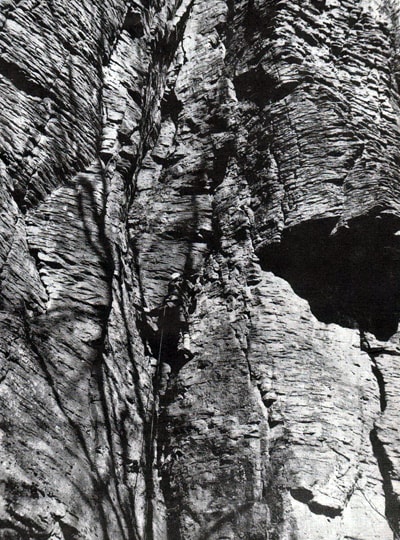 Petov zarez
